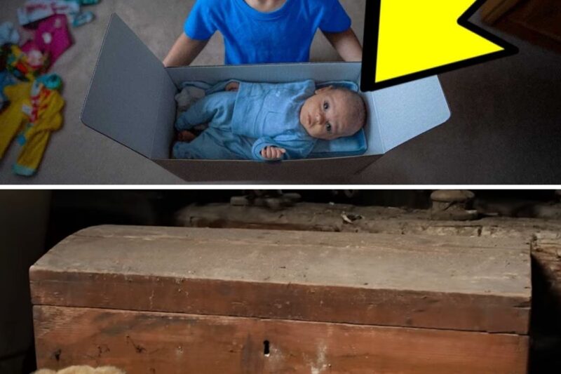 Mother THROWS Out Old TOY BOX, Turns Pale When SON Tells Her What He Hid Inside