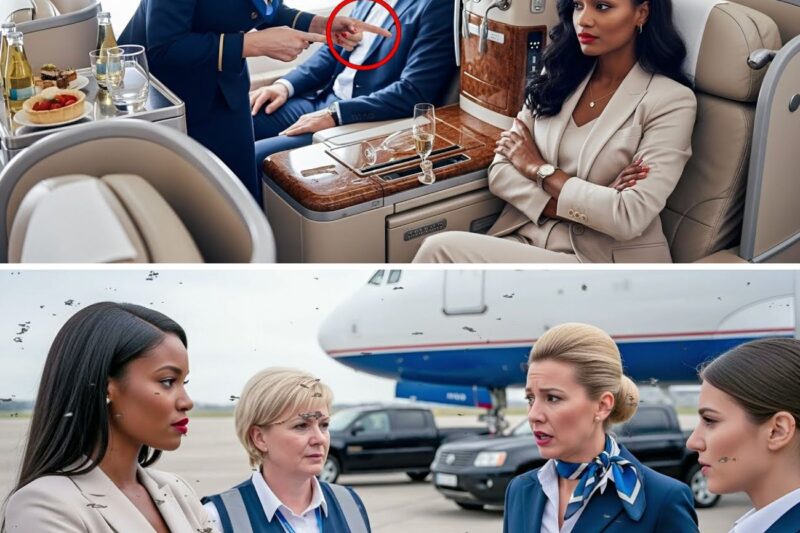 Racist Crew Refused to Serve Black CEO in First Class — Seconds Later, She Fired Everyone Involved..
