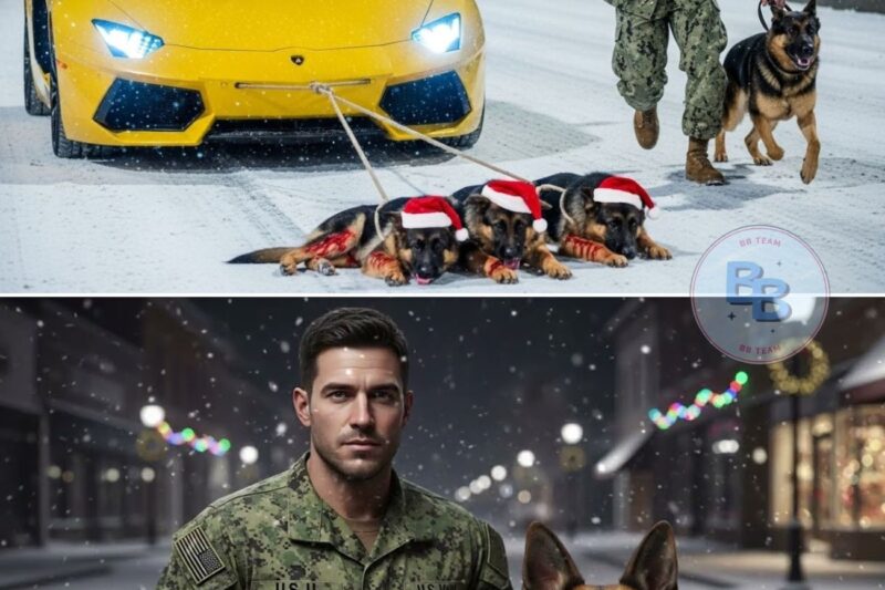 Rich Bullies Dragged Three German Shepherd Puppies on Christmas Night — Until a Navy SEAL Stepped In