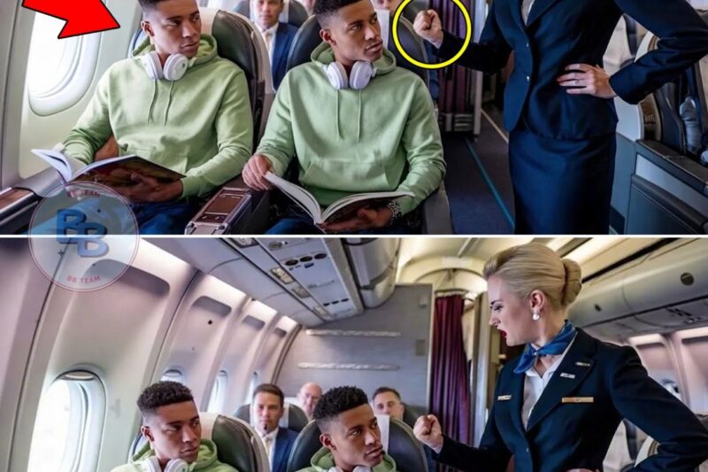 White Flight Attendant Denies Black Twins First Class Seat —2 Minutes Later, The Plane Was Grounded