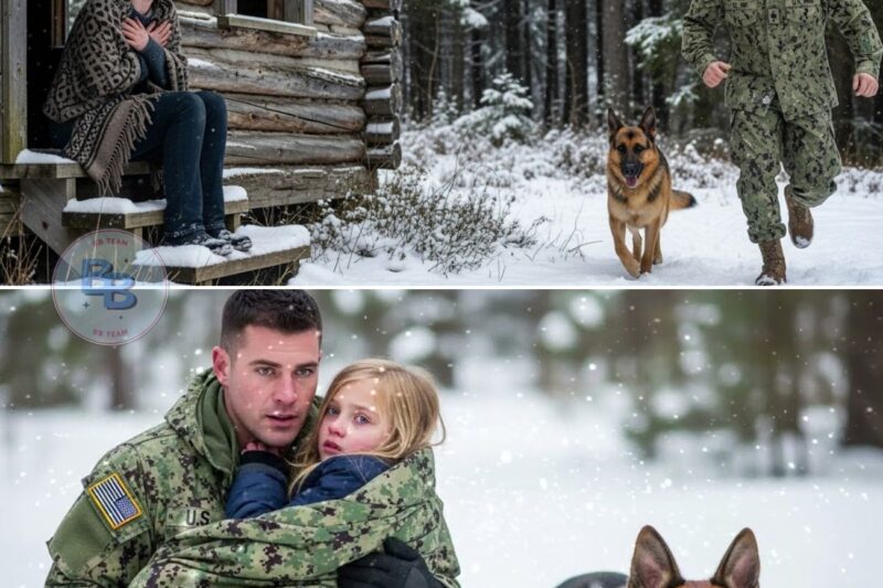 Left to Freeze in the Forest — A Navy SEAL & His K9 Made a Miraculous Find