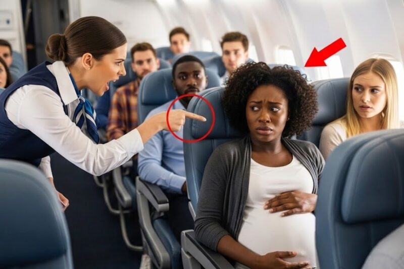 Flight Attendant Slaps a Black Pregnant Woman — Not Knowing Her Husband Owned the Airline!