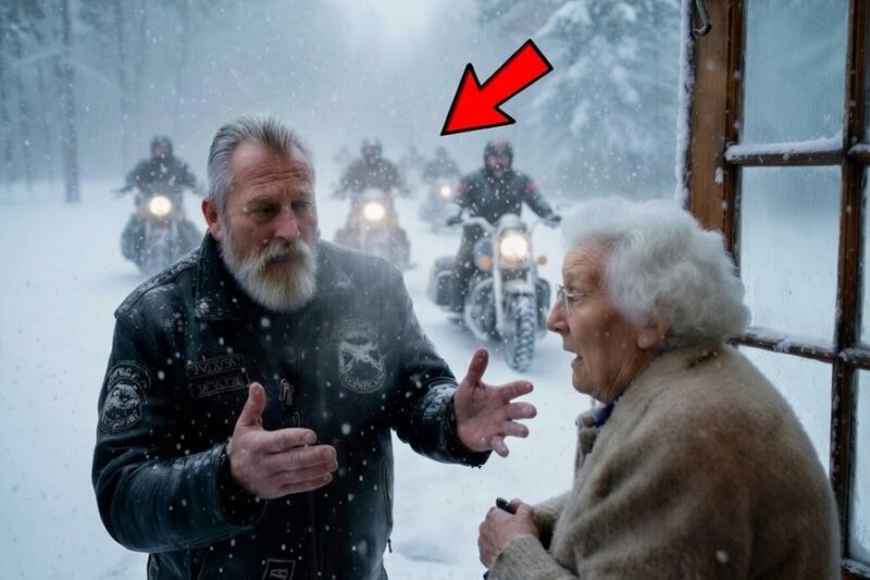 An 80-Year-Old Widow Opened the Door for 50 Freezing Bikers… Then Everything Changed