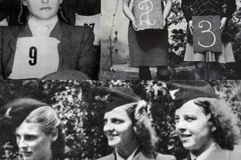 The BRUTAL Last Moments of Irma Grese *Warning HARD TO STOMACH*