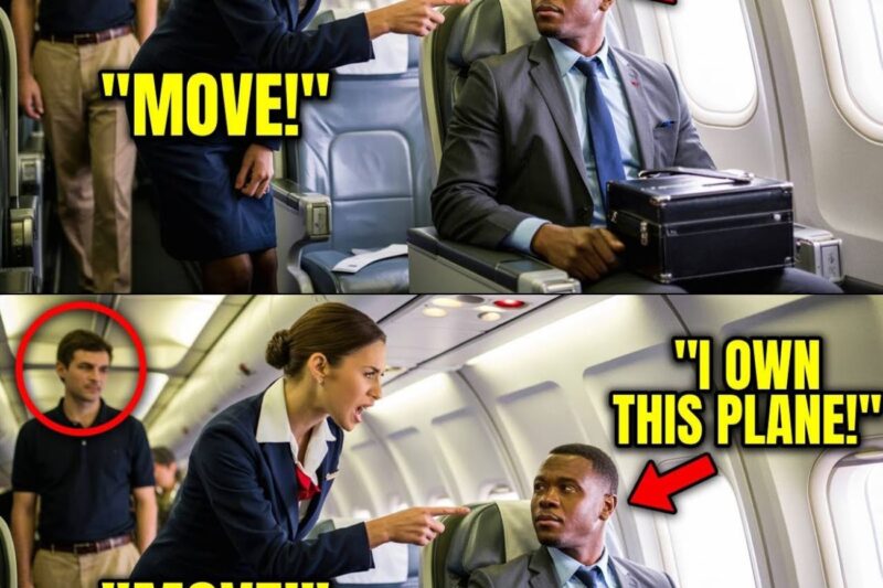 Black CEO Kicked Out of VIP Seat for White Passenger —Froze When He Fired Them All Instantly 