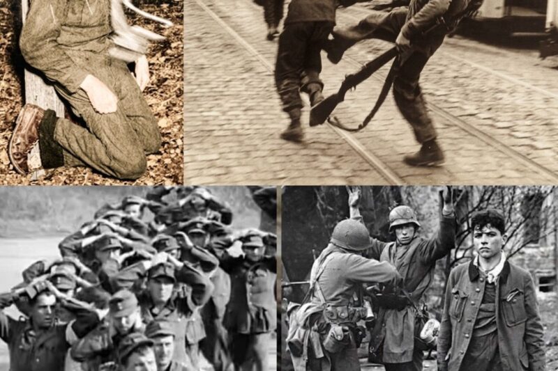 What HORRORS Really Happened When Waffen-SS Soldiers Were Captured – Hard to Watch