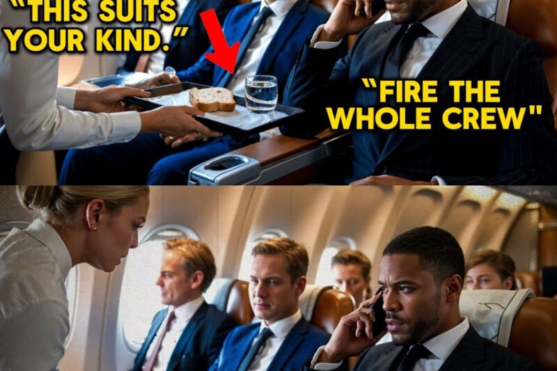 Black CEO Denied First-Class Meal—Then He Makes One Call And Fires Entire Flight Crew After Landing