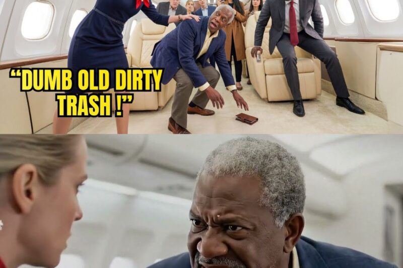 (1) Flight Attendant Slapped Elderly Black Man — Didn’t Realize His Son Controlled Company 