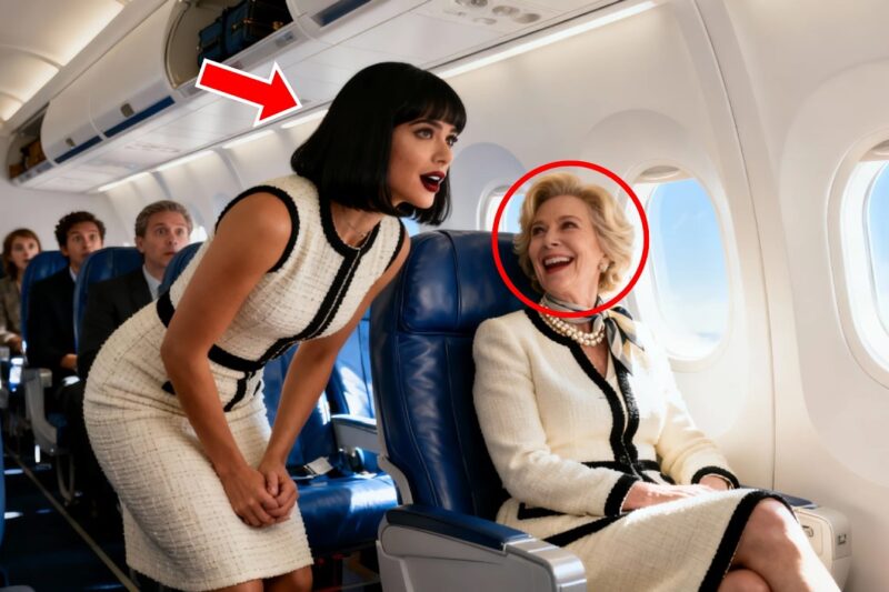 White Passenger Takes Black Billionaire’s Seat — Instantly, the Flight Is Grounded…