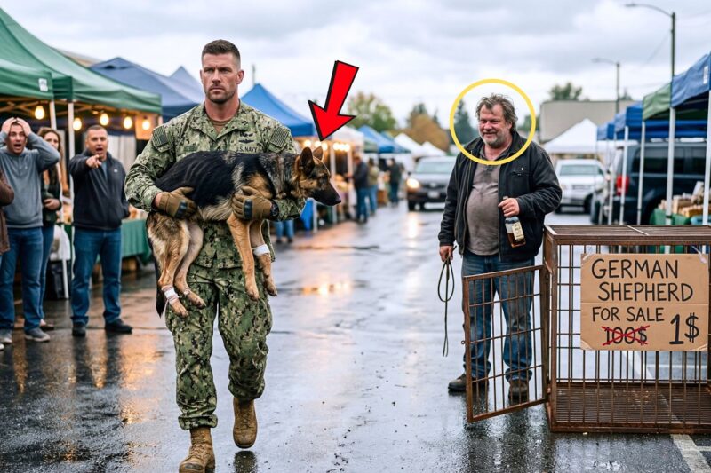 They Laughed at a “Worthless” K9 for $1—Then a Navy SEAL Paid $100