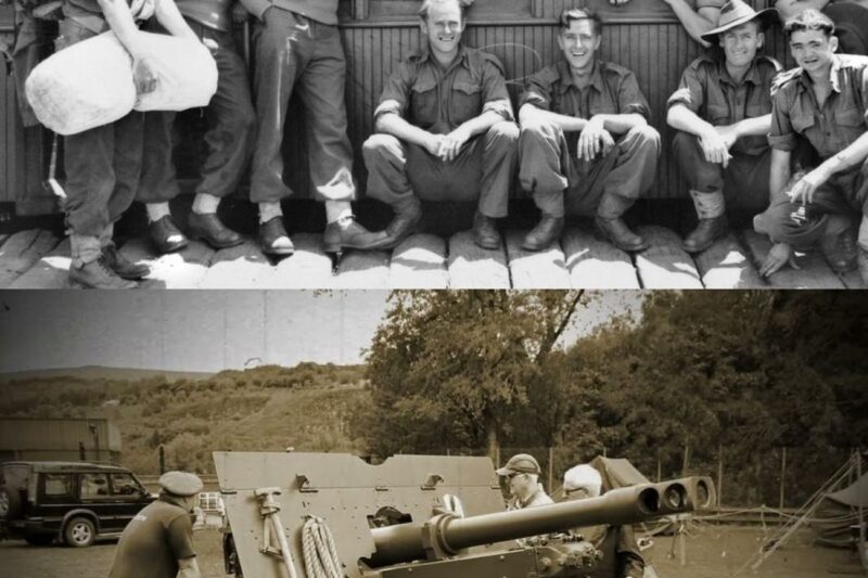 “You’ll Never Take That Hill” — How 700 Australians Captured The Fortress That Humiliated Everyone