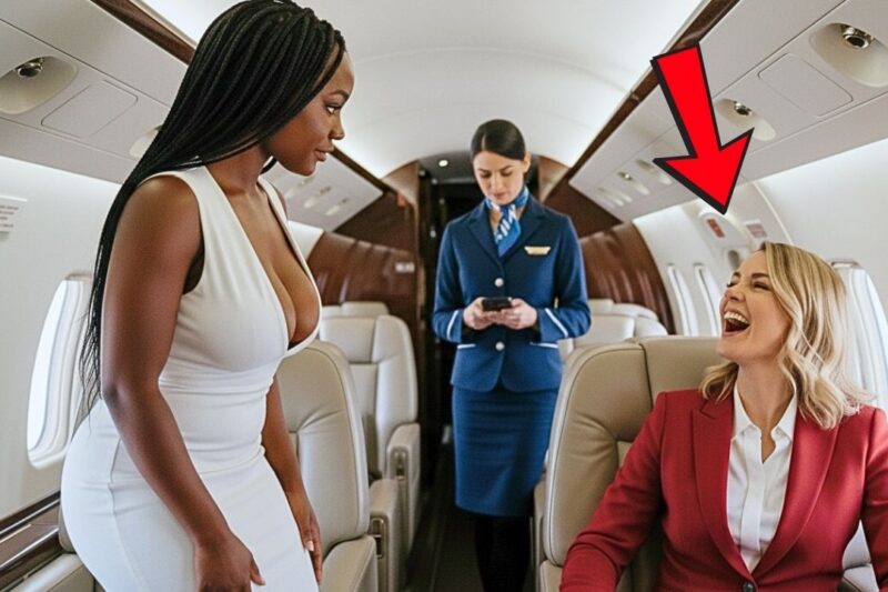 White Passenger Steals Black Billionaire’s Seat —Chaos Ensues and Flight is Grounded