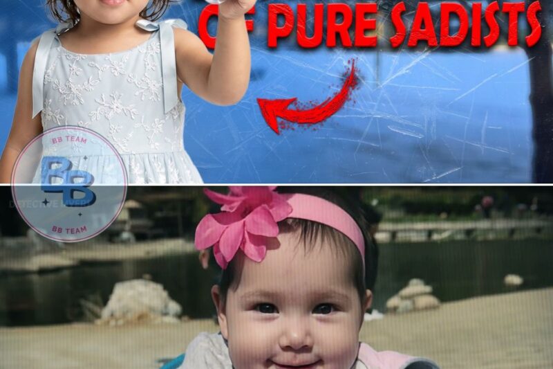 The Horrific Secret Hidden in a Plastic Bin! The Tragic Fate of 3-Year-Old Delylah Tara! True Crime
