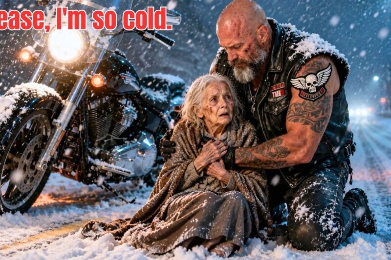 A Hells Angels Biker Saved an 83-Year-Old Woman—Then Discovered a Billionaire’s Dark Secret