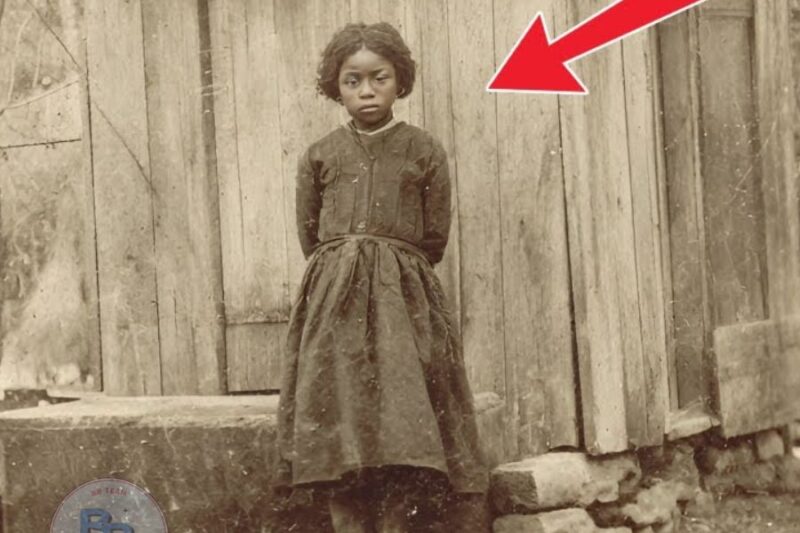 Eliza of Natchez: Slave Girl Who Vanished After the Icehouse Tragedy