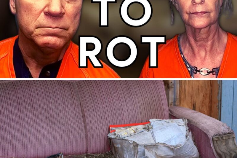Her Parents Let Her Melt Through the Couch