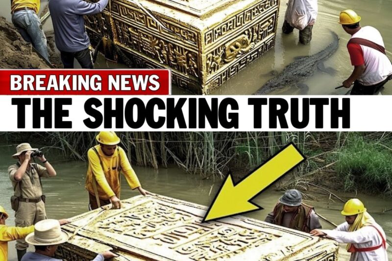 What They FOUND Inside Noah’s ARK in Turkey TERRIFIES The World!