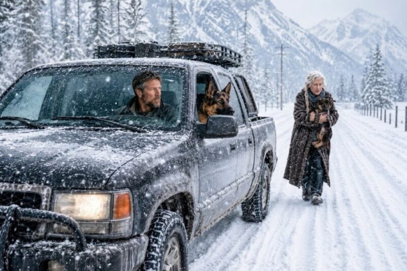He Picked Up an Old Woman and Her Puppy in a Blizzard—What the Navy SEAL Found at Her Home Shocked Him