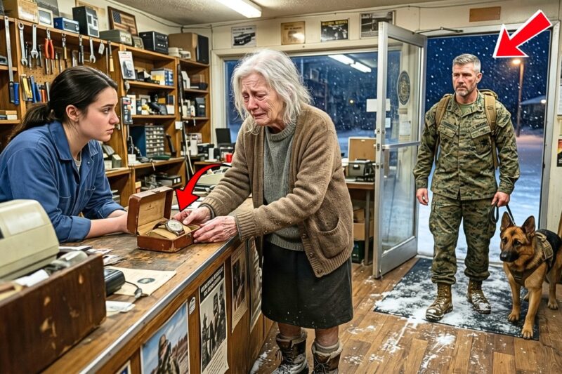 An Elderly Widow Tried to Sell Her Late Husband’s Marine Watch — A Marine and His K9 Stepped In
