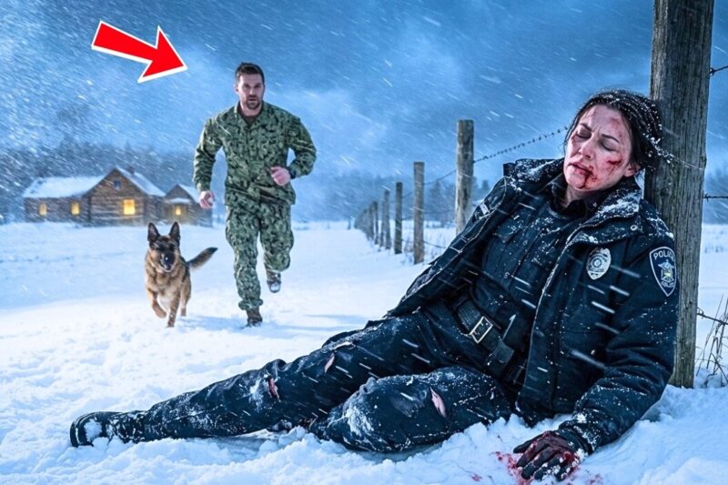 A Navy SEAL Came Home On Leave — Until His K9 Found A Wounded Officer In The Snow
