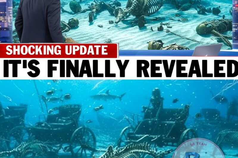 Salvage Divers Claim They Found Pharaoh’s Army Frozen Beneath the Red Sea —”This Changes EVERYTHING”