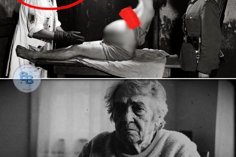The Terrifying Role of German Doctors in Forced Childbirths in Occupied France.