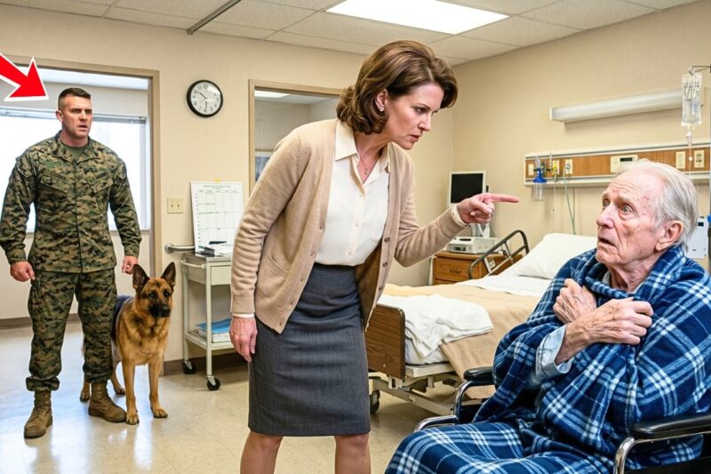 A Marine and His K9 Came to Pick Up His Elderly Father — What They Saw Inside Was Horrifying
