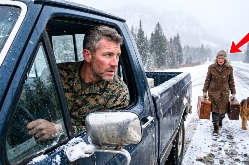 A Marine Found an Elderly Woman and Her Dog Left in a Blizzard — What Happened Next Moved Everyone