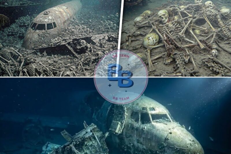 A Drone Reached The Bottom of The Bermuda Triangle, What It Filmed Shocked Everyone