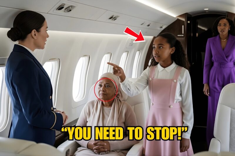 Black billionaire girl stops flight attendant from attacking Black woman on her private jet