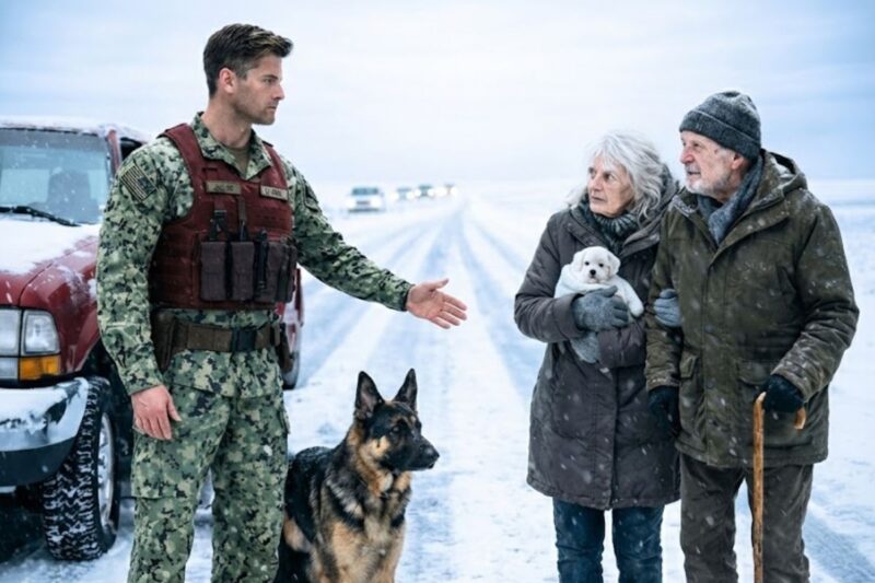They Were Freezing to Death in a Blizzard—Then a Navy SEAL and His Dog Found Them