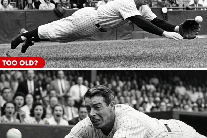 They Said Joe DiMaggio Was Too Old in 1951 – Then He Made The Impossible Catch