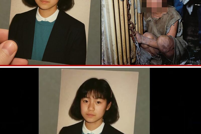 A female student disappears from her home – 12 years later, she is found chained up at a neighbor’s house…