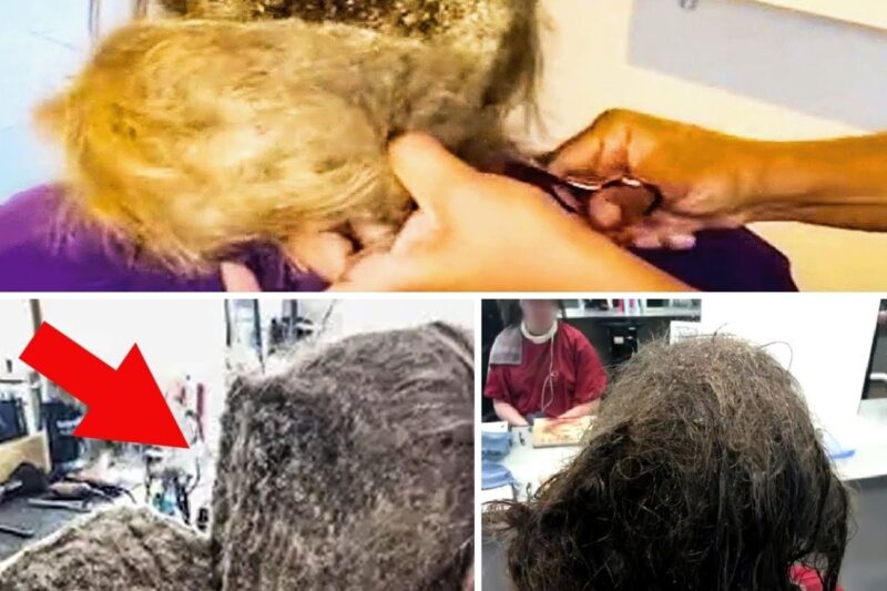 Girl Refuses To Comb Her Hair. Hairdresser Discovers Why & Immediately Calls The Cops!