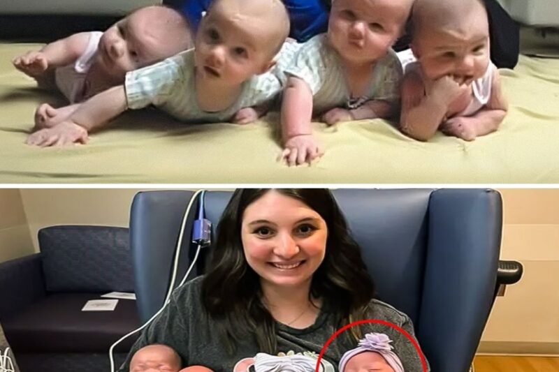 Mother Poses With Quadruplets, Photographer Stops Cold After Noticing One Detail