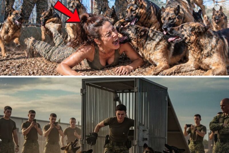 They Slammed Her Into a K9 Kennel—Seconds Later, the Navy SEAL Strikes Back