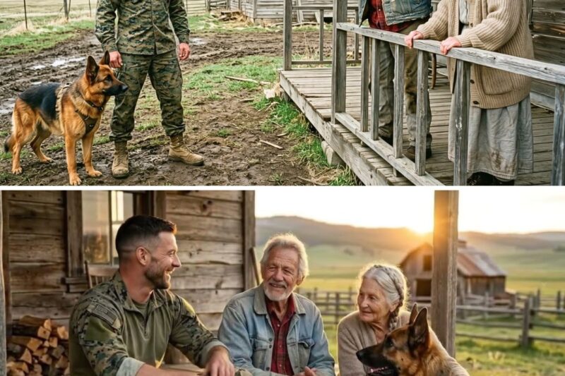 Marine Returns to His Abandoned Ranch After 7 Years — Then Finds Strangers Living Inside