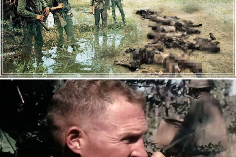 The Viet Cong Set a Deadly Trap for American Soldiers Deep in the Jungle