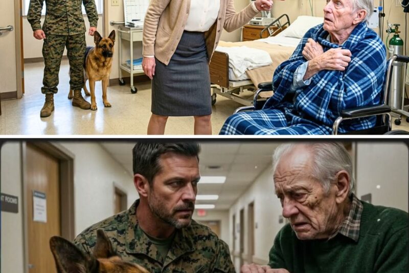 A Marine and His K9 Came to Pick Up His Elderly Father — What They Saw Inside Was Horrifying