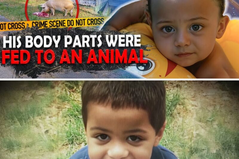 The Worst Case of Child Torture Police Had Ever Seen | The Tragic Murder of 7-YO Adrian True Crime