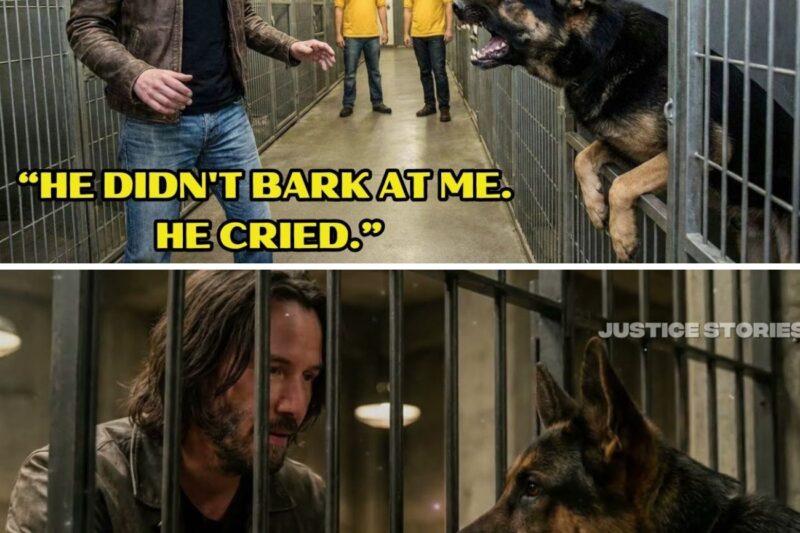 No One Could Touch This Dog for 2 Years — Until Keanu Reeves Walked In