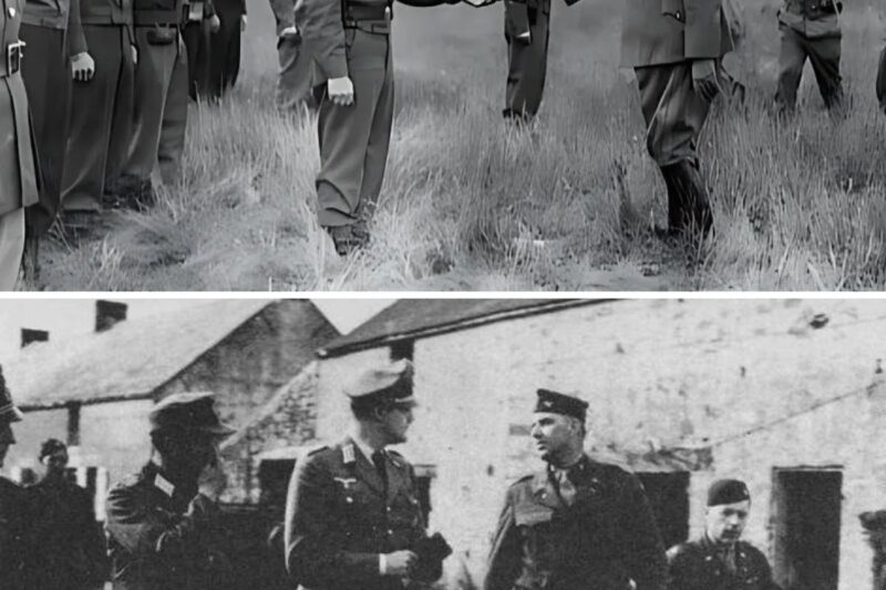 The Desperate Race of German Soldiers Trying to Reach American Lines in 1945