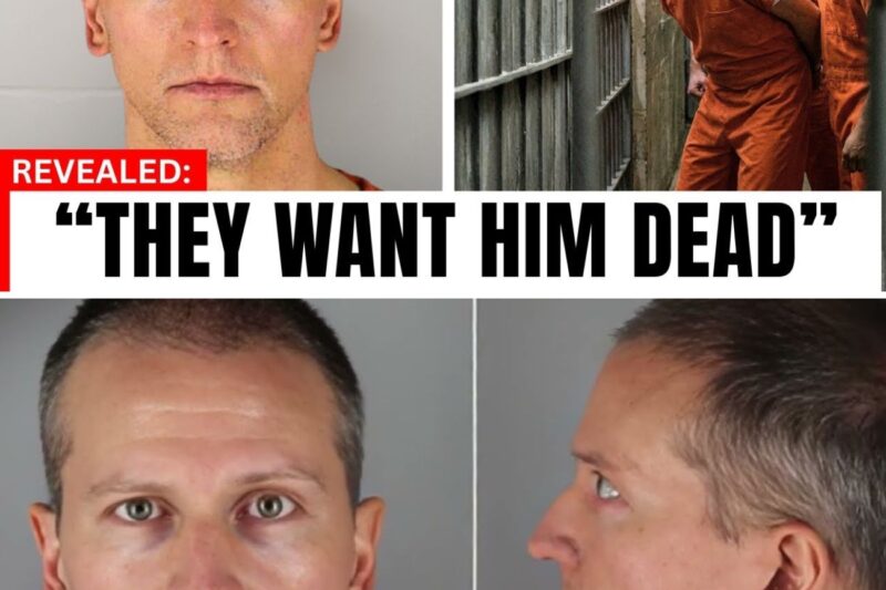 Inside Derek Chauvin’s Prison Nightmare — More Terrifying Than Death Row