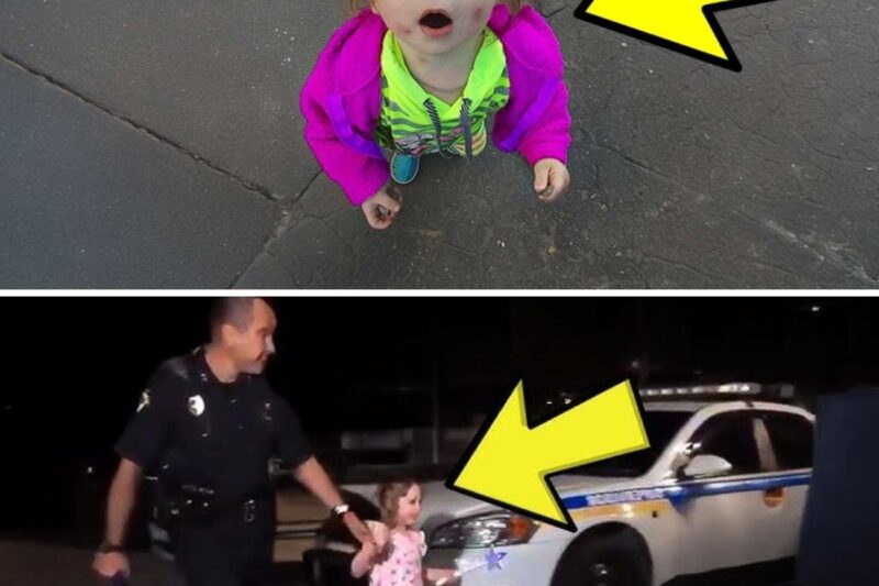 3-Year-Old Girl Sleeps In Park Every Night – Police Officer Bursts Into Tears When He Finds Out Why