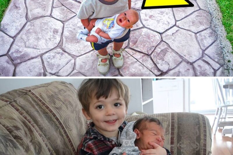 Mom Was Shocked After Her 8-year-old Son Brings Home A Baby