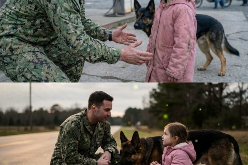 ‘Who Hurt You Like This?’ Navy SEAL Asked — ‘My Father, Sir.’ What Happened Next Shocked All 