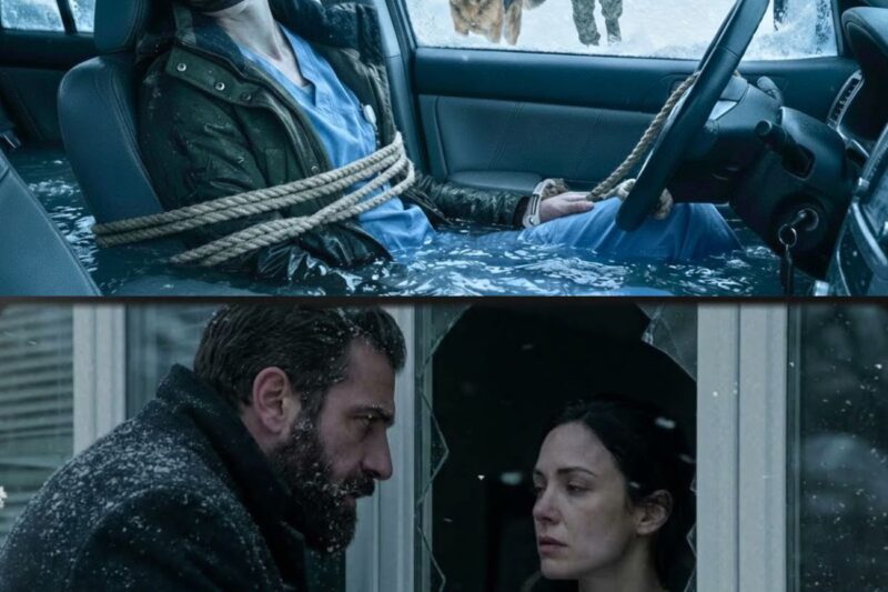 A Nurse Was Left to Freeze Inside a Wrecked Car—Until a Navy SEAL and His K9 Found Her