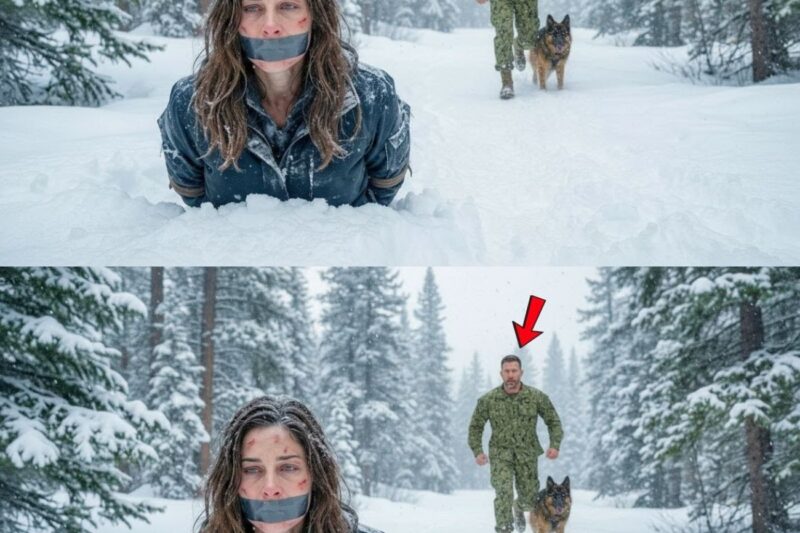 A Navy SEAL and His German Shepherd Found a Buried FBI Agent — What Happened Next Shocked Everyone 