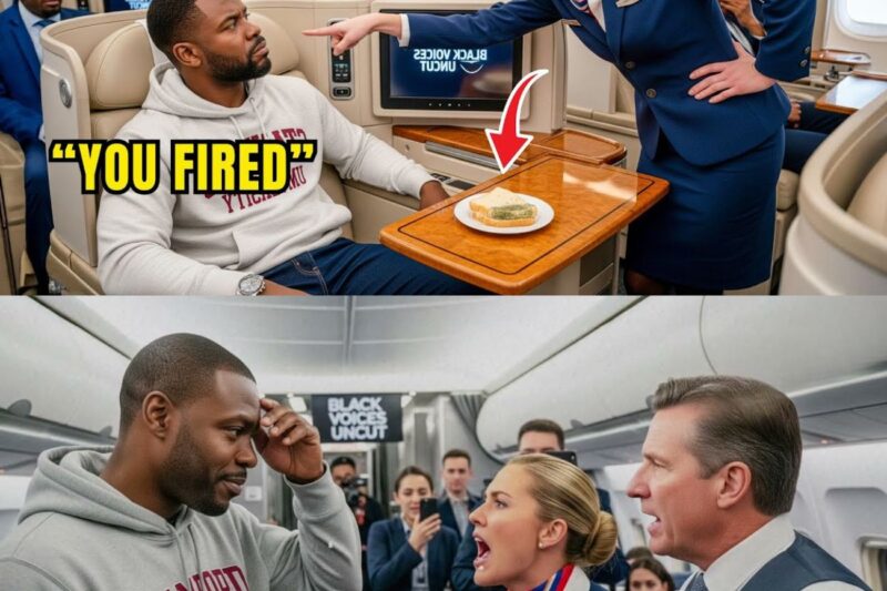 Flight Attendant Gave Moldy Food to Black CEO — Hours Later, Entire Crew Got Fired 