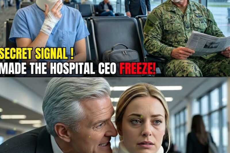 Rookie Nurse Gave a Secret Signal to a SEAL Commander at the Airport — Then the Hospital CEO Froze 